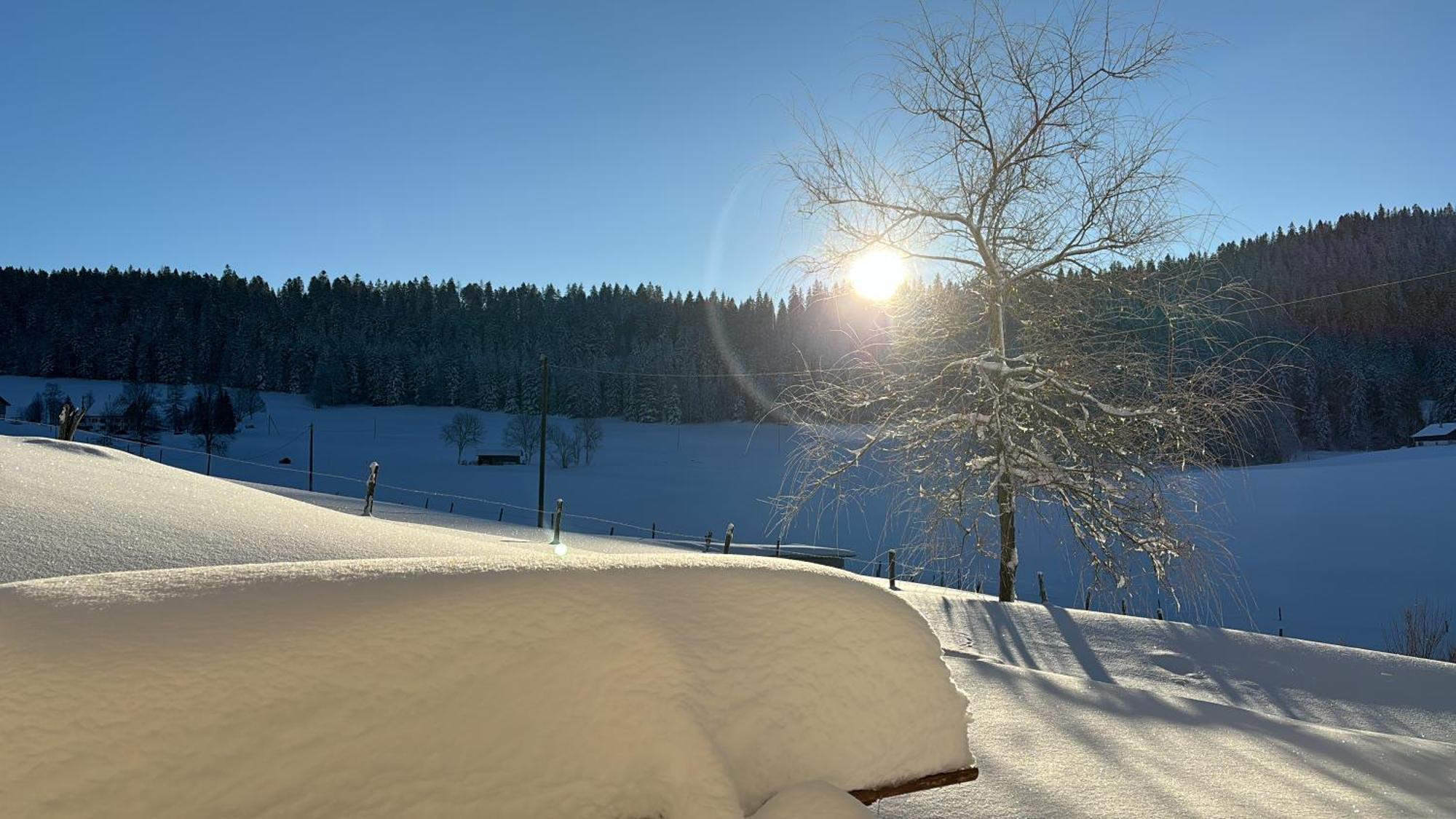 Relais De La Baume Apartman Le Locle Kültér fotó