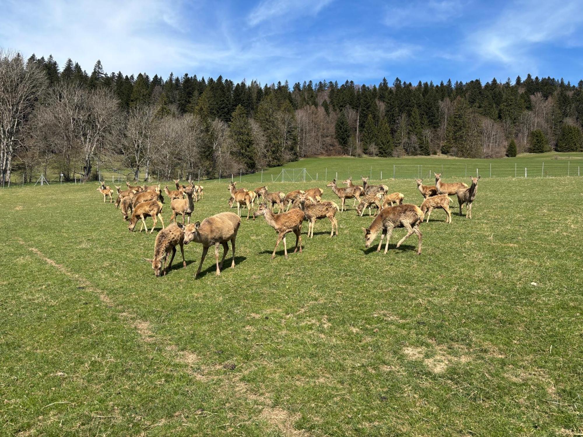 Relais De La Baume Apartman Le Locle Kültér fotó